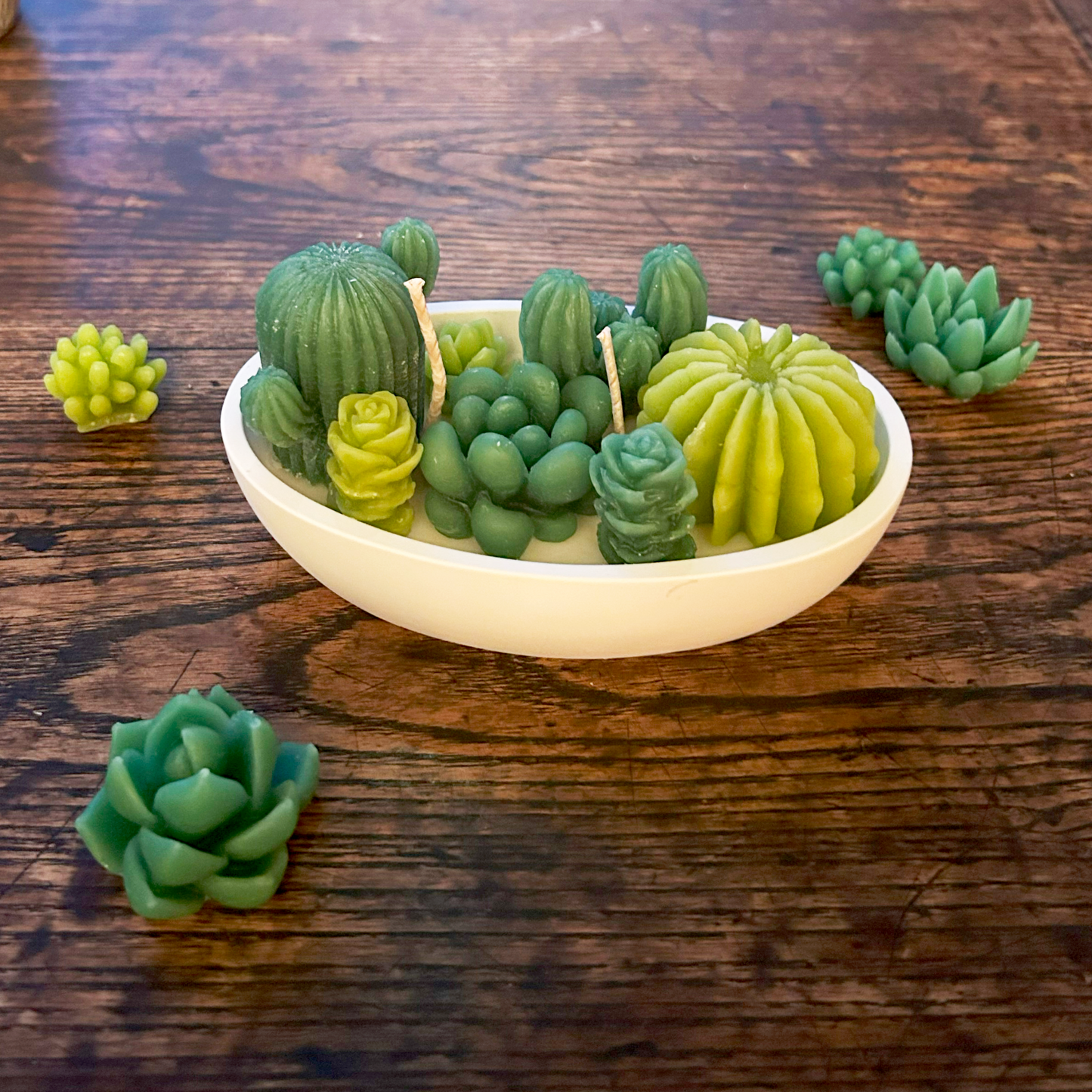 Desert Bloom - Boat