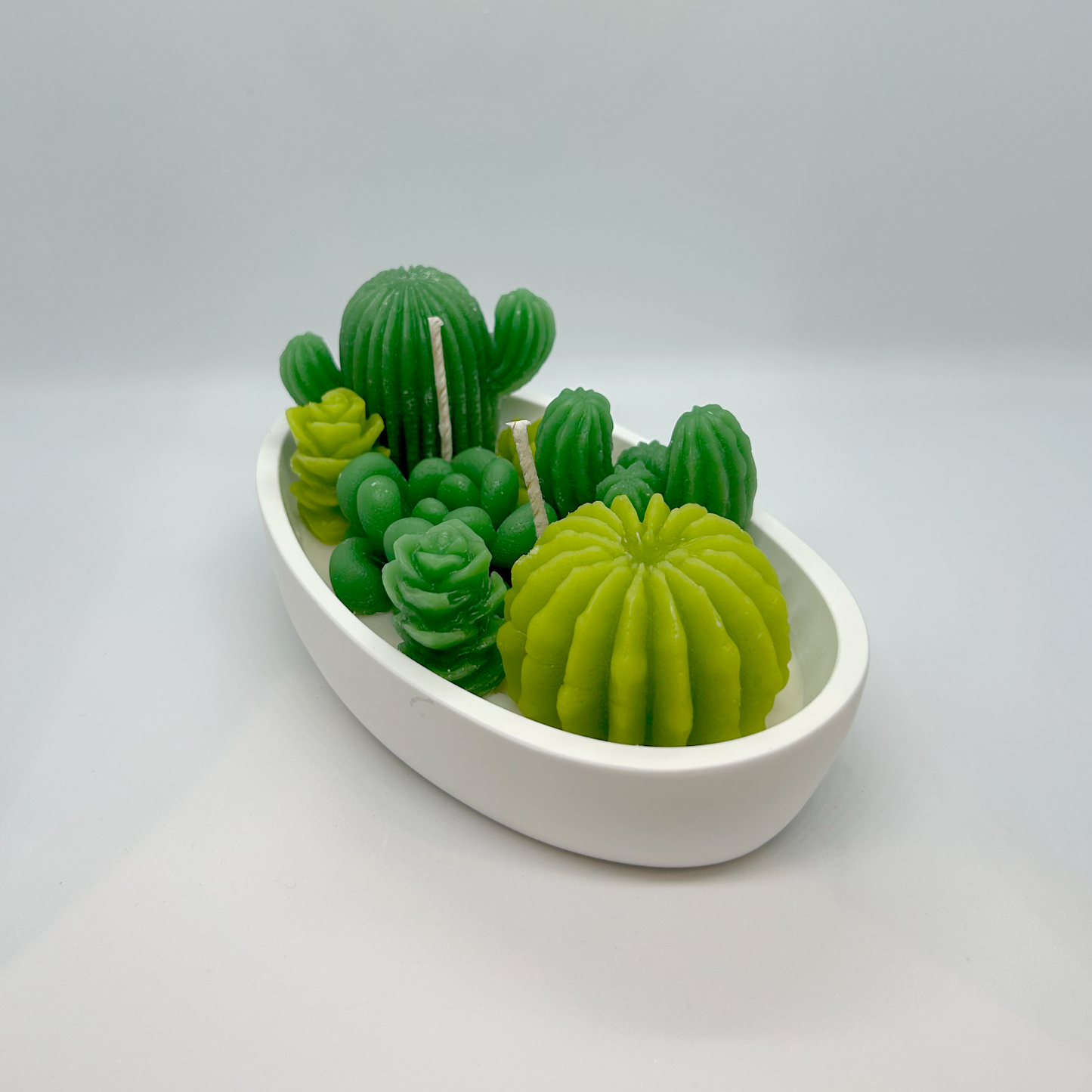 Desert Bloom - Boat