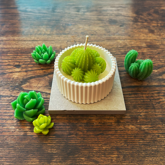Desert Bloom