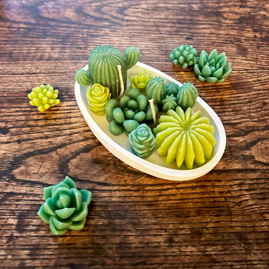Desert Bloom - Boat