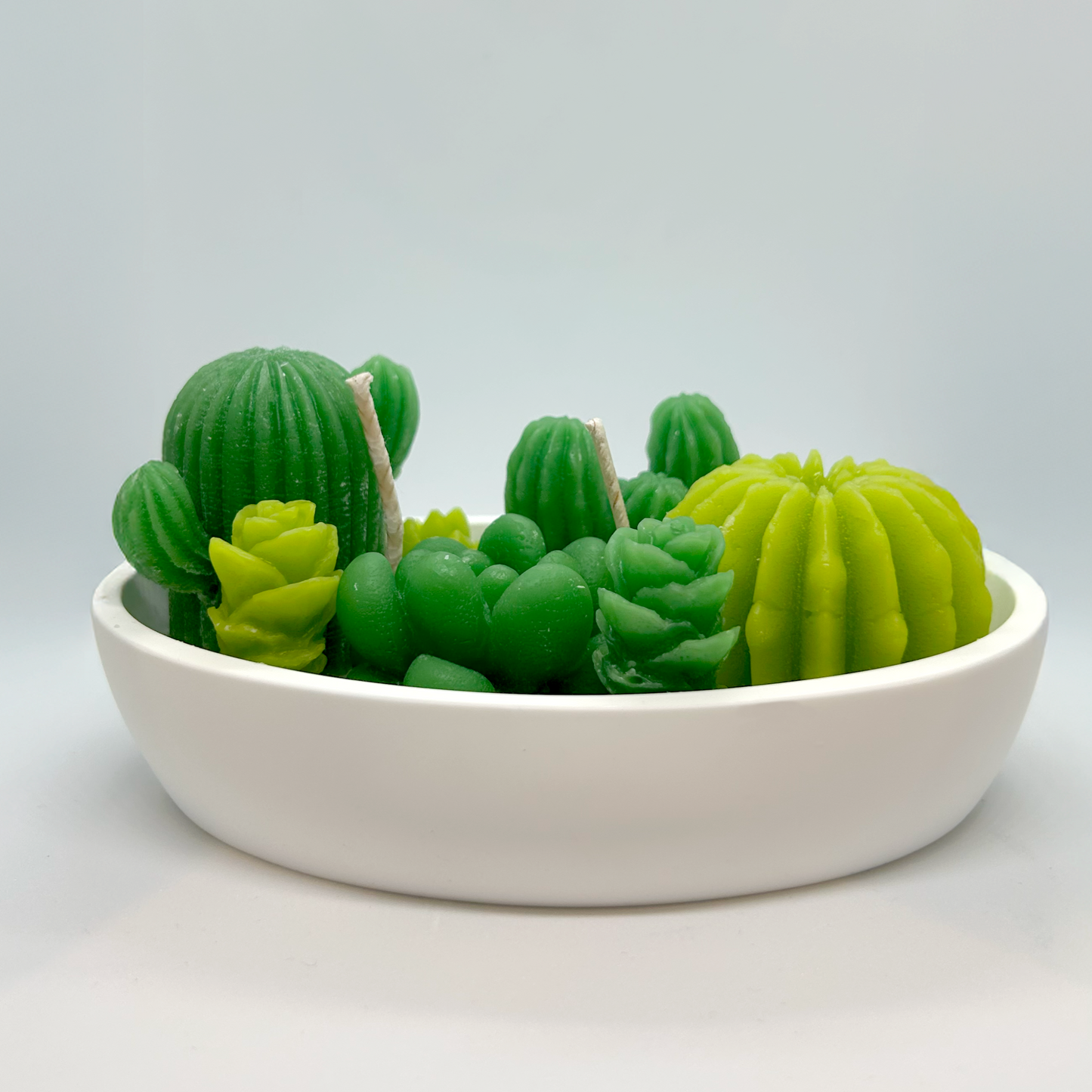 Desert Bloom - Boat