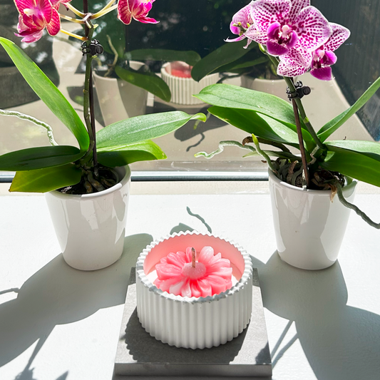Blossom Perfection - Flower